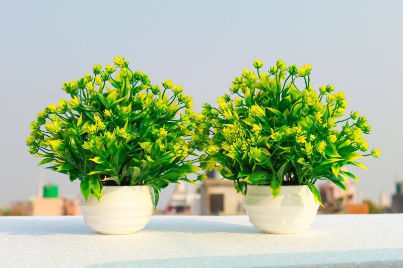 Best For Home/Office Table Decoration or Gift Table Flower Pot Pack of 2 Artificial Plant with Pot  (18 cm, Green, Yellow)