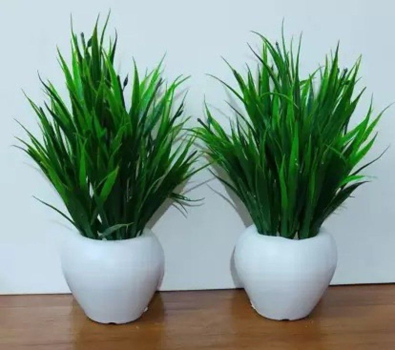 brozzo Bonsai Wild Artificial Plant with Pot  (15 cm, Green, White)