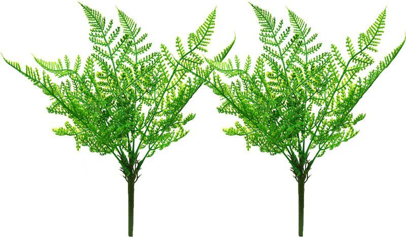 decormasters Pair of Artificial Plant Bunches Lady Fern Plant Artificial Plant  (30 cm, Green)