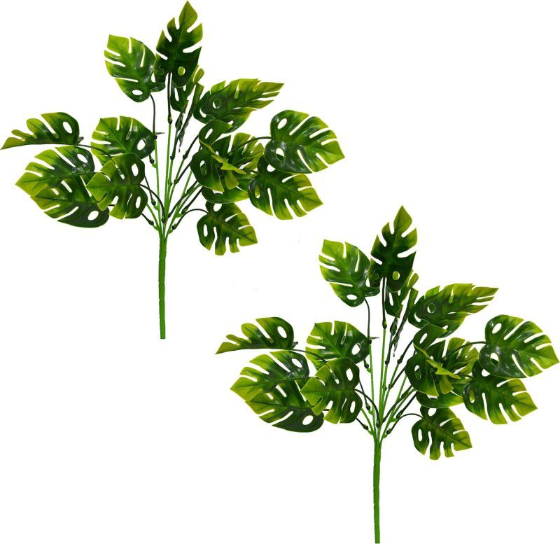 decormasters artificial plant turtle leaf bunch without pot Wild Artificial Plant  (35 cm, Green)