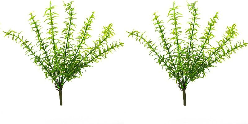 decormasters Pair of Artificial Plant Bunches Wild Asparagus Plant Wild Artificial Plant  (30 cm, Green)