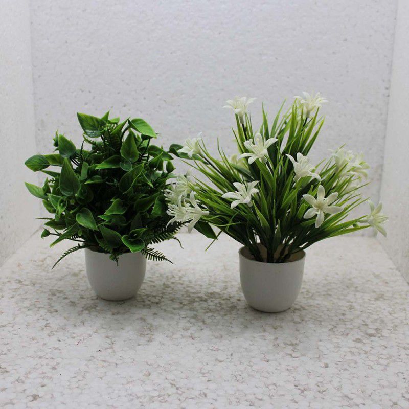 Hidooa Bonsai Artificial Plant with Pot  (17 cm, Green, White)