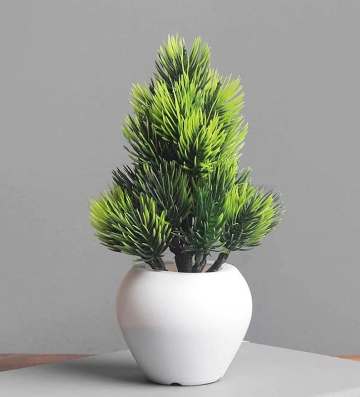 Bonsai Artificial Plant with Pot  (17 cm, Green, White)