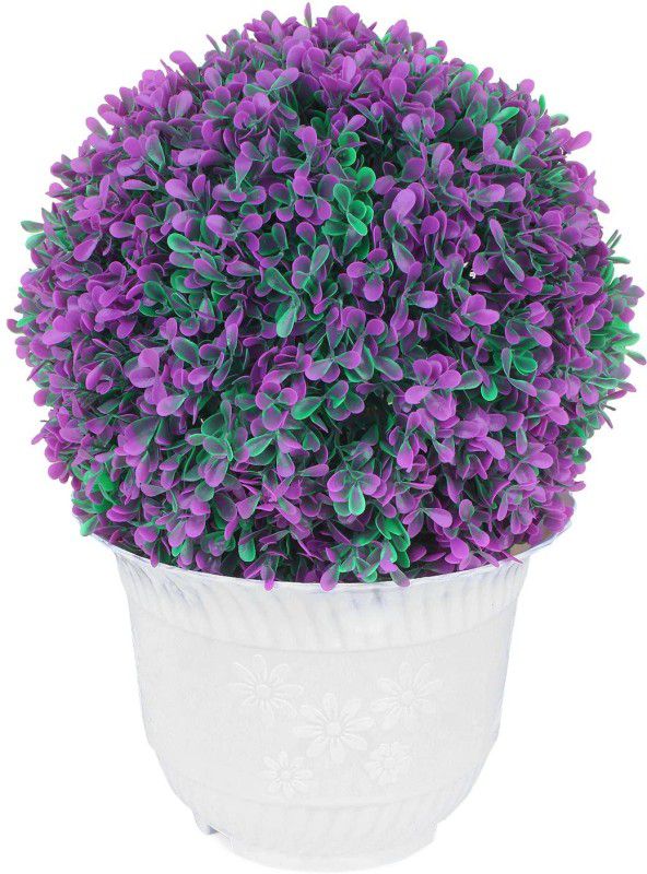 supermarche Ball Indoor/Outdoor Decoration Artificial Plant Purple and Green Grass Ball and with Pot - (41 X 29 X 29 cm) Artificial Plant with Pot  (10 cm, Green)