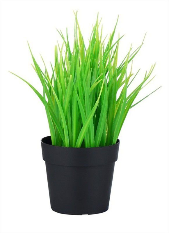 R&F Wheat Grass Artificial Plant with Pot  (23 cm, Black)