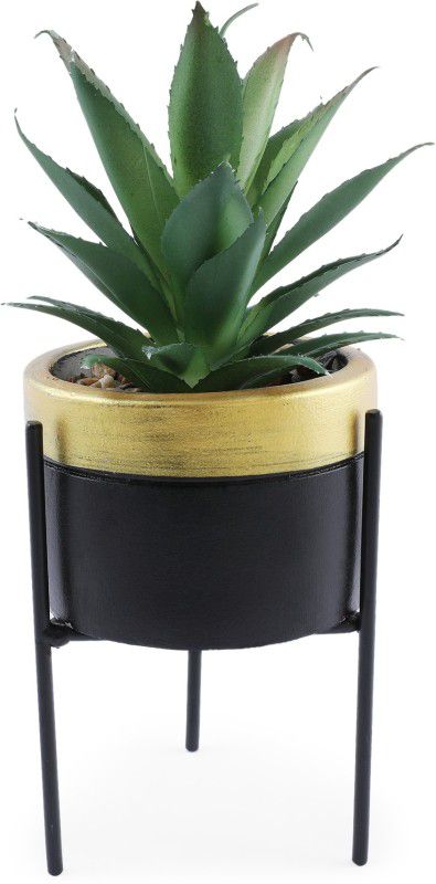 Hometown Bonsai Artificial Plant with Pot  (16 cm, Gold)