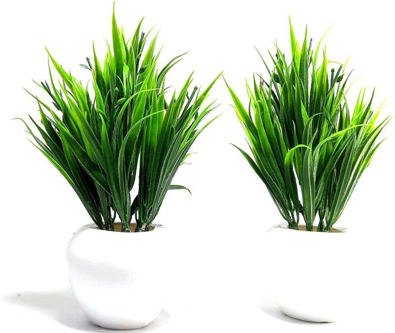 Green Plant indoor Smallbonsai12124 Bonsai Wild Artificial Plant with Pot  (7 cm, Green)