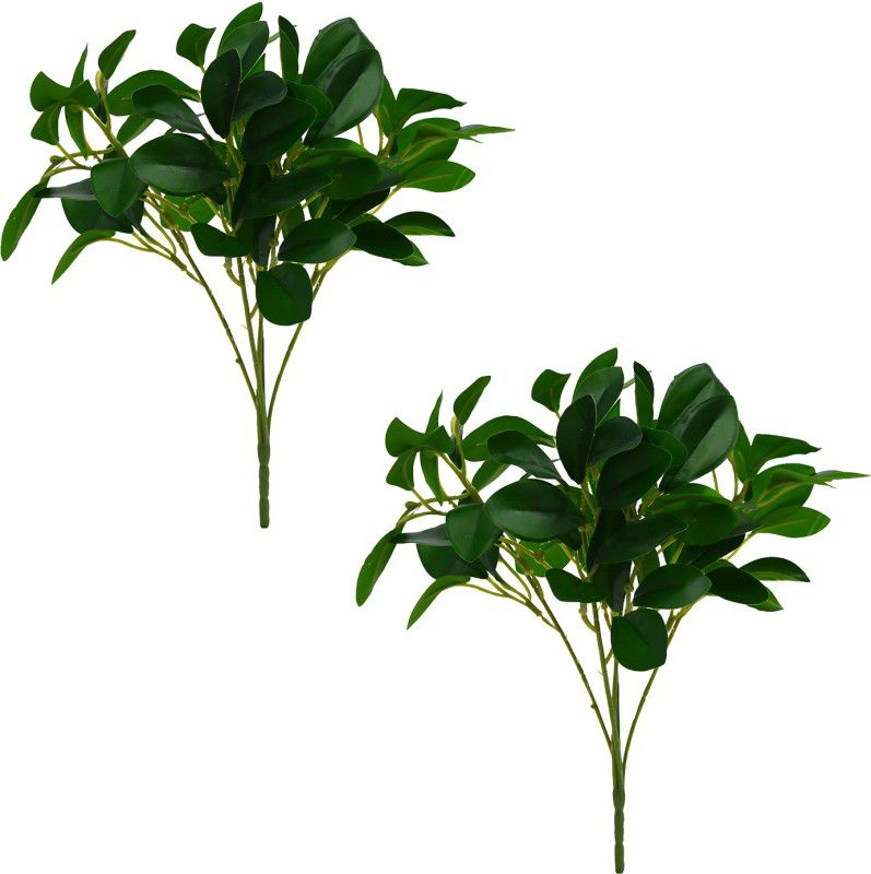 decormasters artificial rubber plant bunch without pot Artificial Plant  (30 cm, Green)