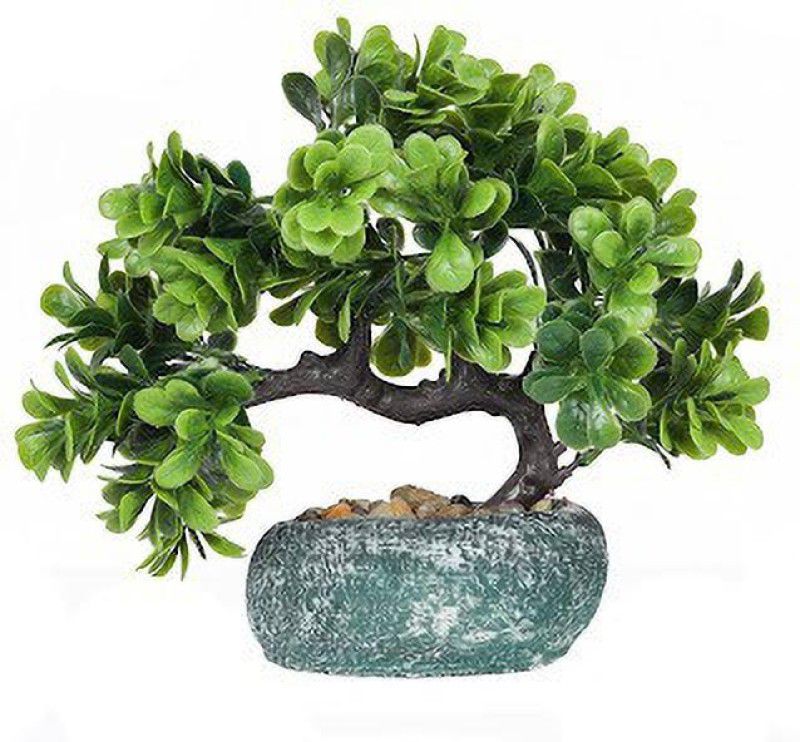 FerxiicExpo Natural Looking Artificial Bonsai Leaves Flower Plant with Home and Office Décor Bonsai Wild Artificial Plant with Pot  (24 cm, Green)