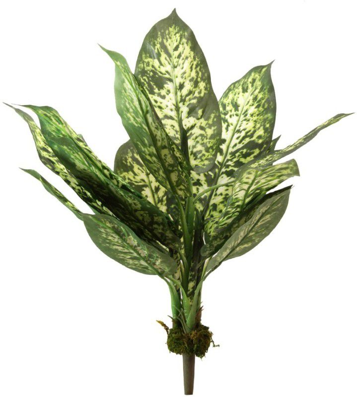 FOURWALLS Artificial Dracaena Plant Without Pot (52 cm Tall, Dark Green) Artificial Plant  (52 cm, Multicolor)