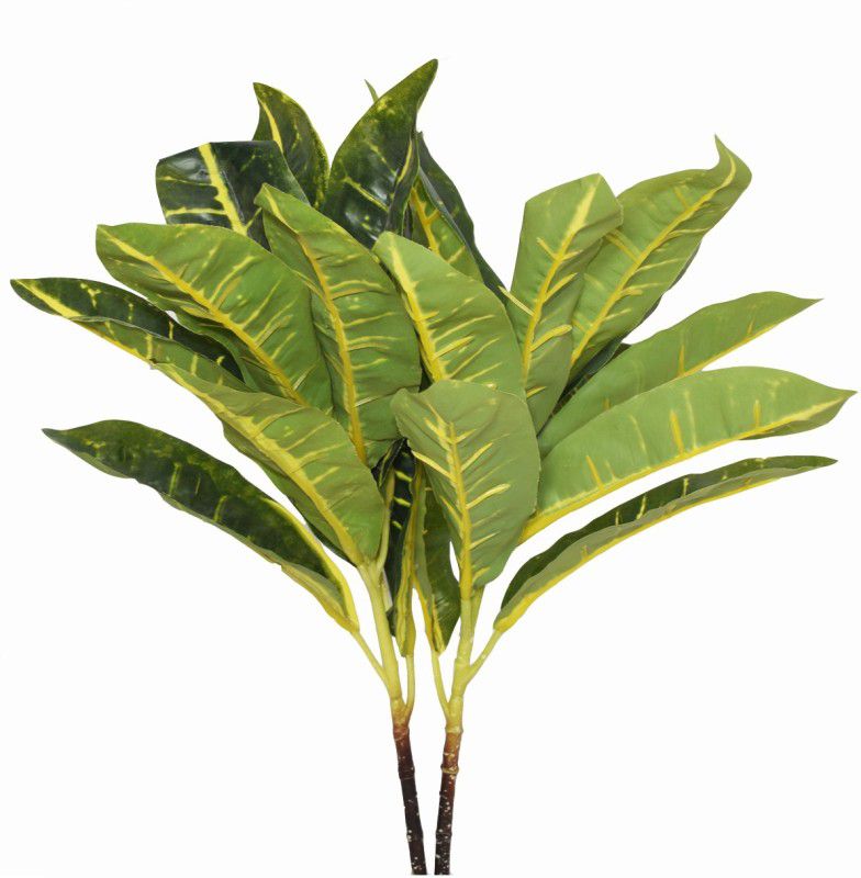 FOURWALLS Beautiful Plastic Green Croton Mini Bush Without Vase Artificial Plant  (35 cm, Green)