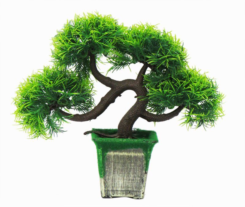 Mom's Home Bonsai with Artificial Green Grass Tree for Living Room, Home,Table, Office, Window Decoration |Plastic Vase and Bonsai Tree Bonsai Artificial Plant with Pot  (22 cm, Green)