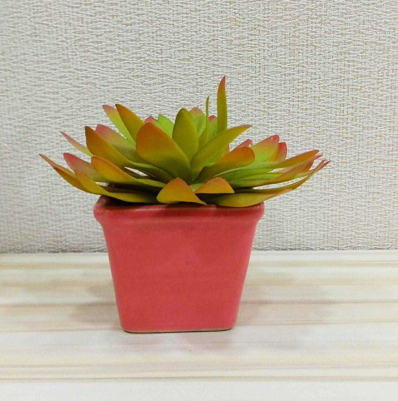 Style My Home Elegant Ceramic Pot with Artificial Succulent| Table Decor Combo Artificial Plant with Pot  (10 cm, Green, Red, Multicolor)