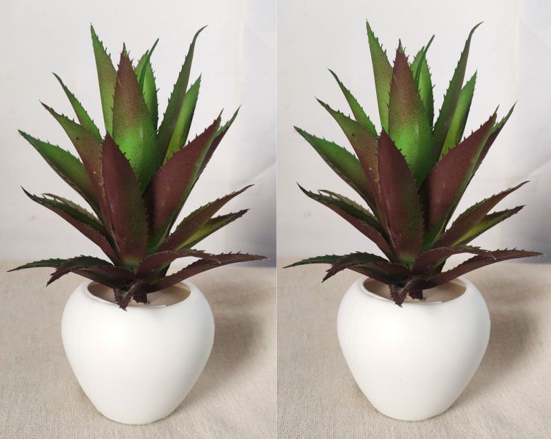 BK Mart Set of 2 Imported High Quality Aloevera Plant Bonsai Artificial Plant with Pot  (20 cm, Multicolor)