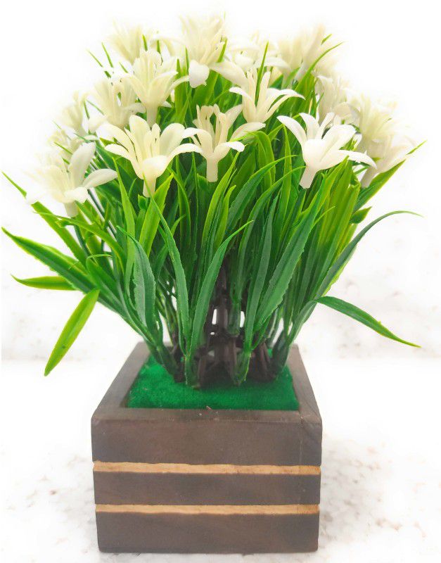 Bonsai Wild Artificial Plant with Pot  (18 cm, Green, White)