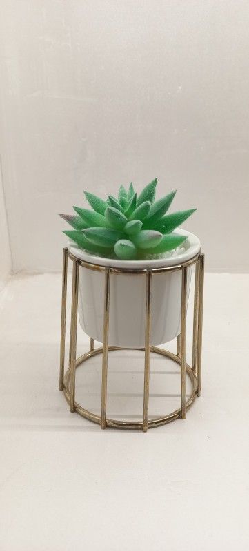 Mohit Anand Design EX.ARTIFICIAL FLOWER Artificial Plant with Pot  (14 cm, Green)