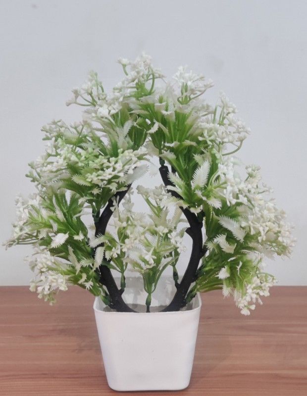 PedhPodha Bonsai Wild Artificial Plant with Pot  (20 cm, White)