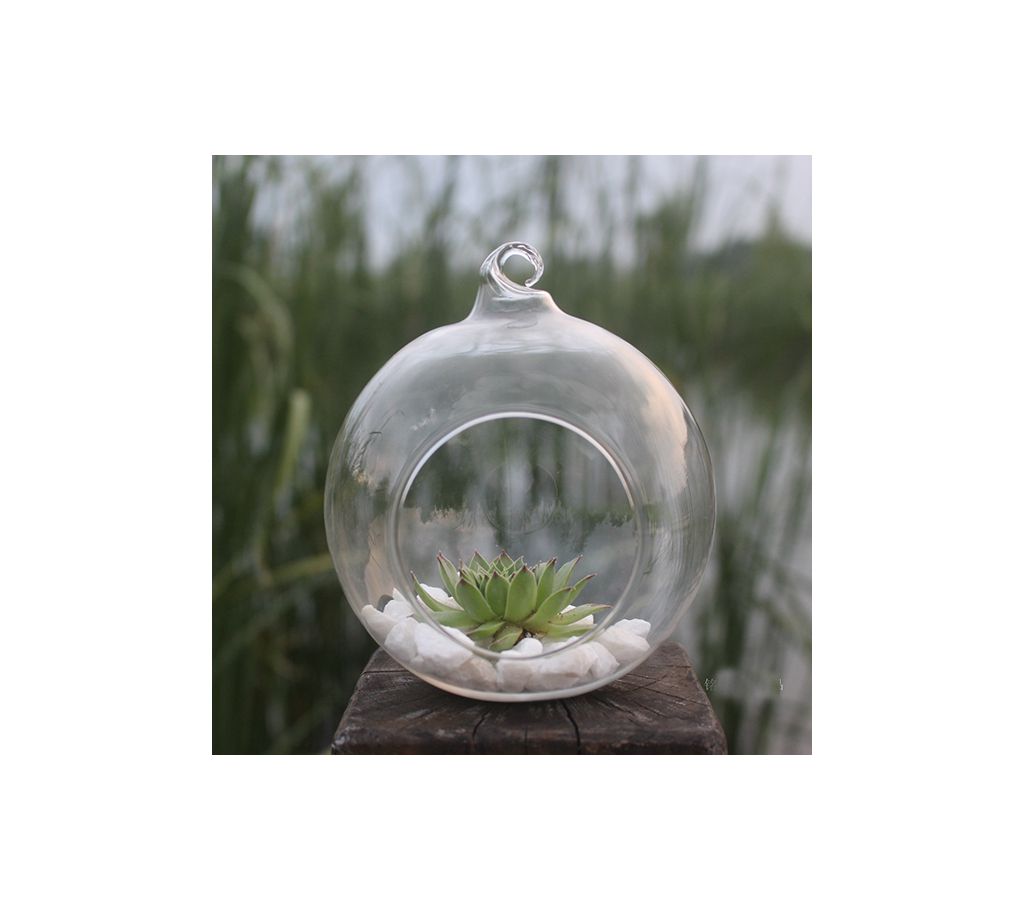 Glass Vase and aquarium for home decor or gift