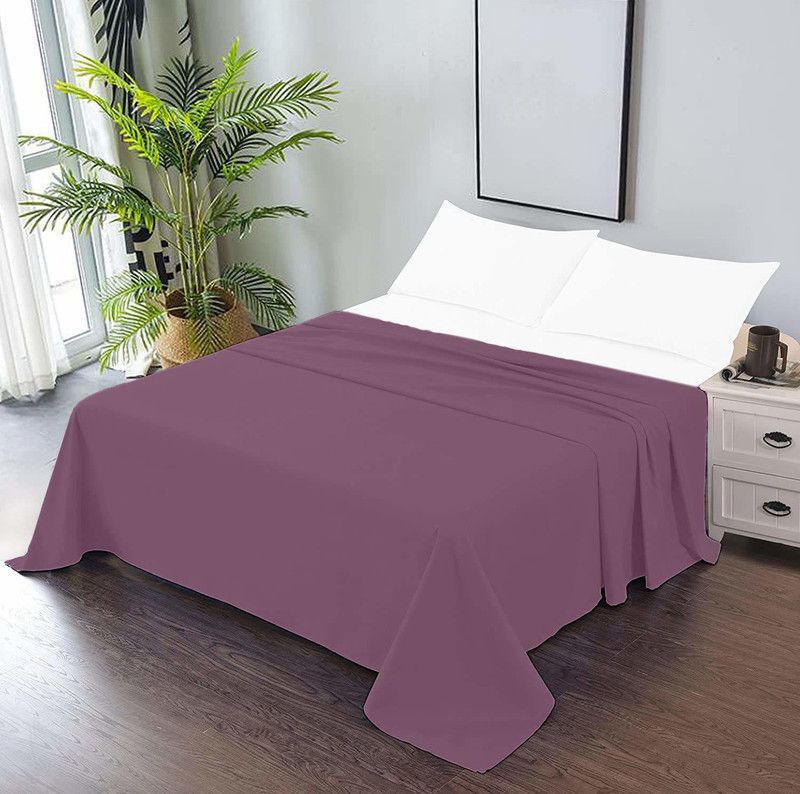 CCWB 600 TC Cotton Queen Solid Flat Bedsheet  (Pack of 1, PLUM)