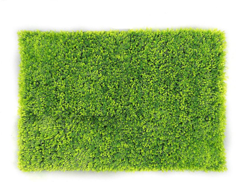 RM Handloom Microfiber Door Mat  (Green, Medium)