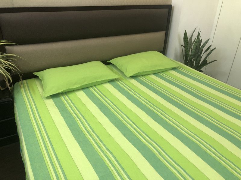 Rangbhar 210 TC Cotton Double Striped Flat Bedsheet  (Pack of 1, Green)