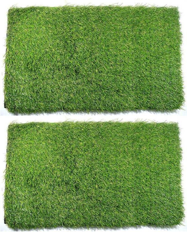 WebDealz PP (Polypropylene) Door Mat  (Green, Medium, Pack of 2)