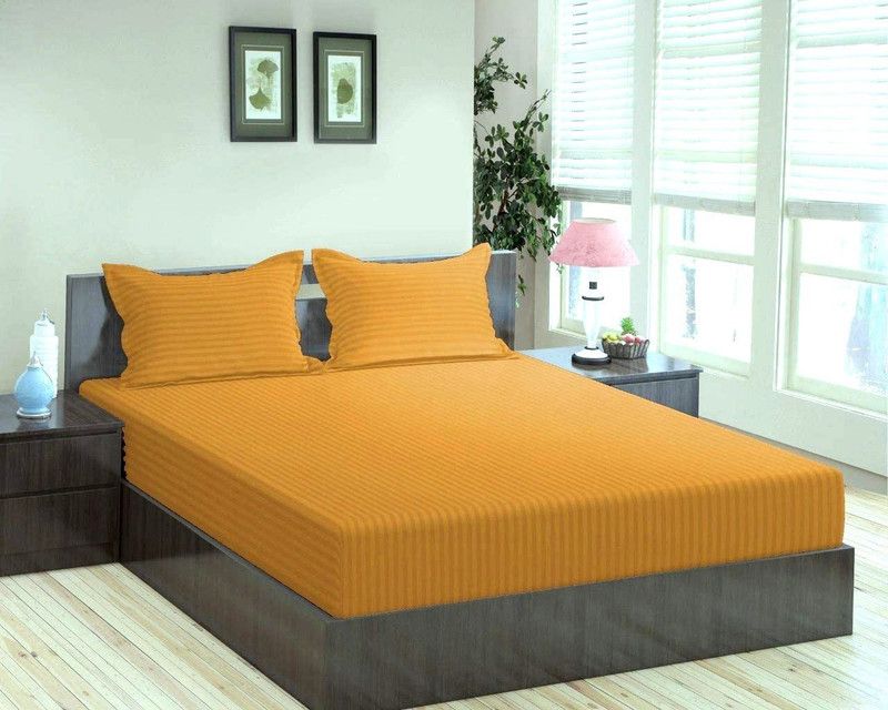 MNP Collection 300 TC Cotton King Striped Flat Bedsheet  (Pack of 1, Golden)