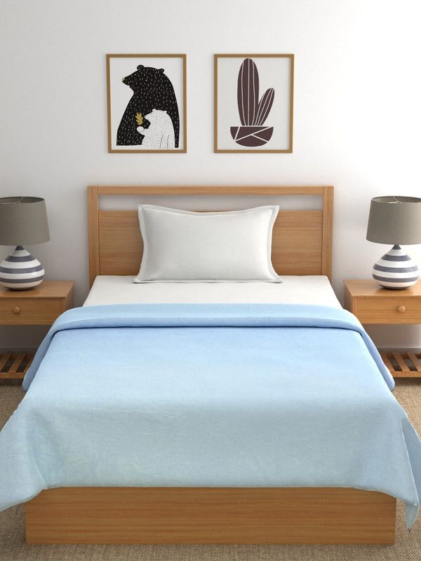 Raymond Home Solid Single AC Blanket for Mild Winter  (Polyester, Light Blue)