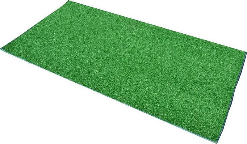Lots International PP (Polypropylene) Door Mat  (Green, Medium)