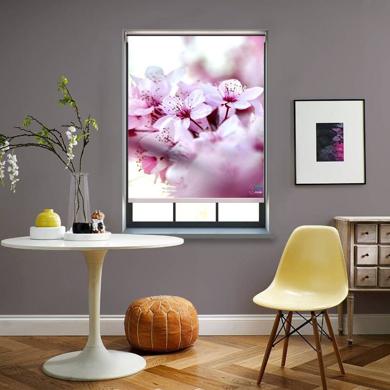 Custo-Interio Roller Blind Cord Drawn On Window  (Cloth)