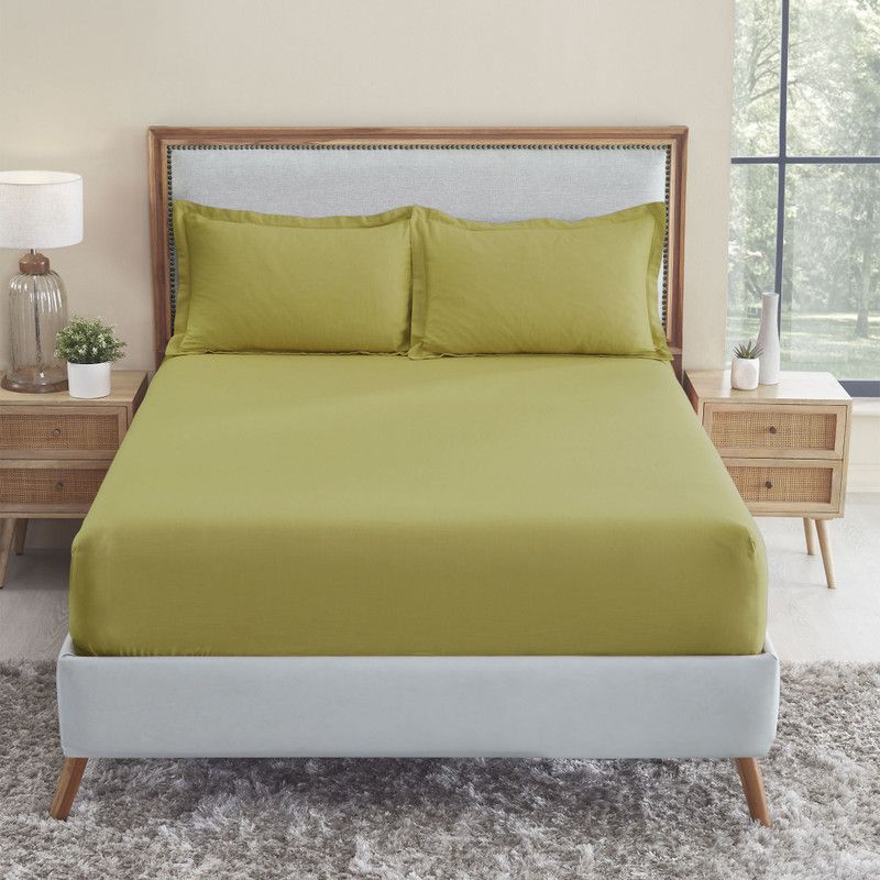 TRIDENT 150 TC Cotton King Solid Fitted (Elastic) Bedsheet  (Pack of 1, Willow Green)