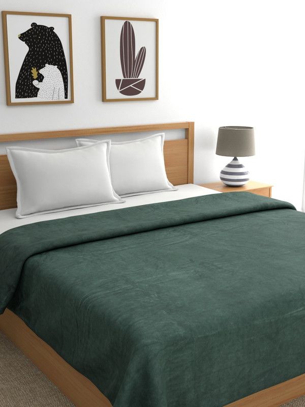 Raymond Home Solid Double AC Blanket for AC Room  (Polyester, Green)