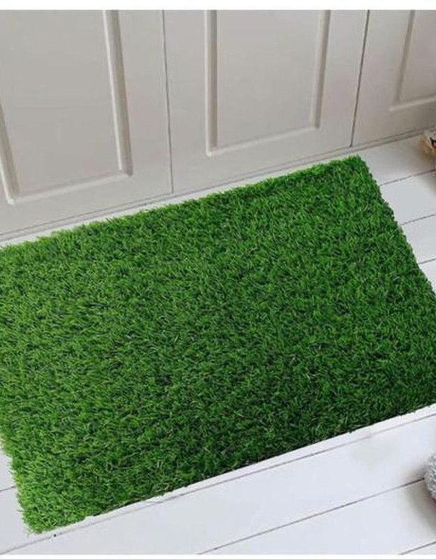 Sr sons Artificial Grass Floor Mat  (Green, Medium)