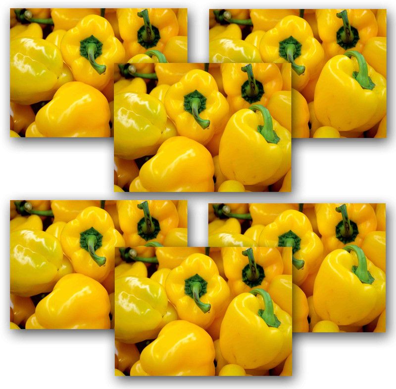 Ambbi Collections Rectangular Pack of 6 Table Placemat  (Yellow, Polyester)