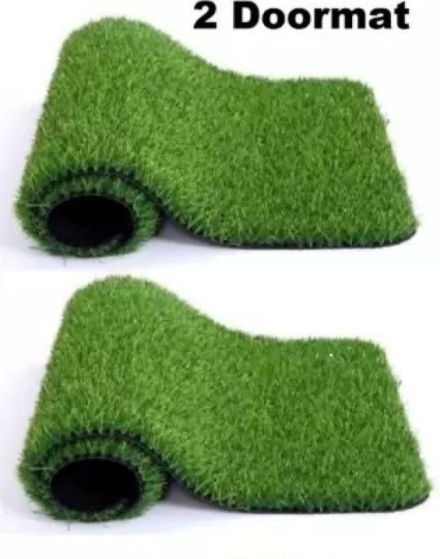 Grassmat Plastic Door Mat  (Green, Small, Pack of 2)