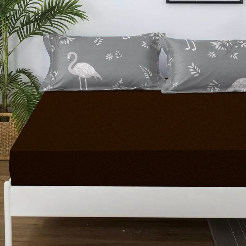 LITHARA Fitted Queen Size Waterproof Mattress Cover  (Brown)