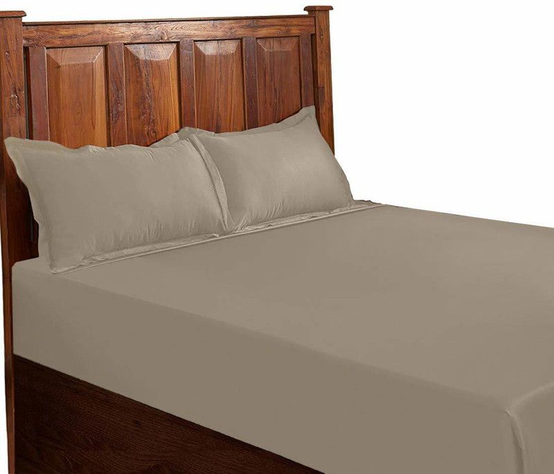 Fisher West New York 600 TC Cotton King Solid Flat Bedsheet  (Pack of 1, Gold)