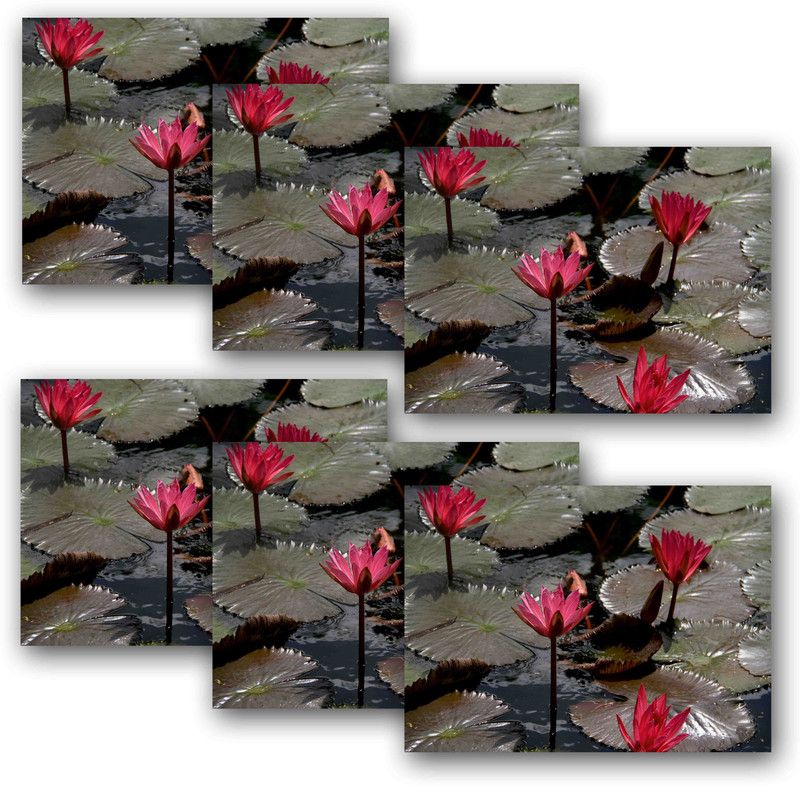 Ambbi Collections Rectangular Pack of 6 Table Placemat  (Multicolor, Polyester)