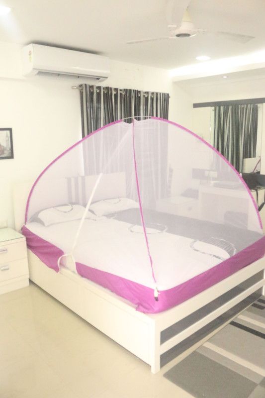 NetCraft Polyester Adults Washable 6x6 feet Queen size Mosquito Net  (Pink, Tent)