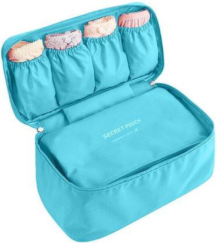 Favria Lingerie Travel Case, Storage Case  (Bra and Panty, Pack of 1)