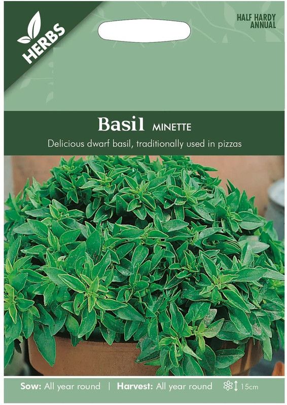 VibeX ® VMR-26 Fine Bush Basil Minette Seed  (1000 per packet)