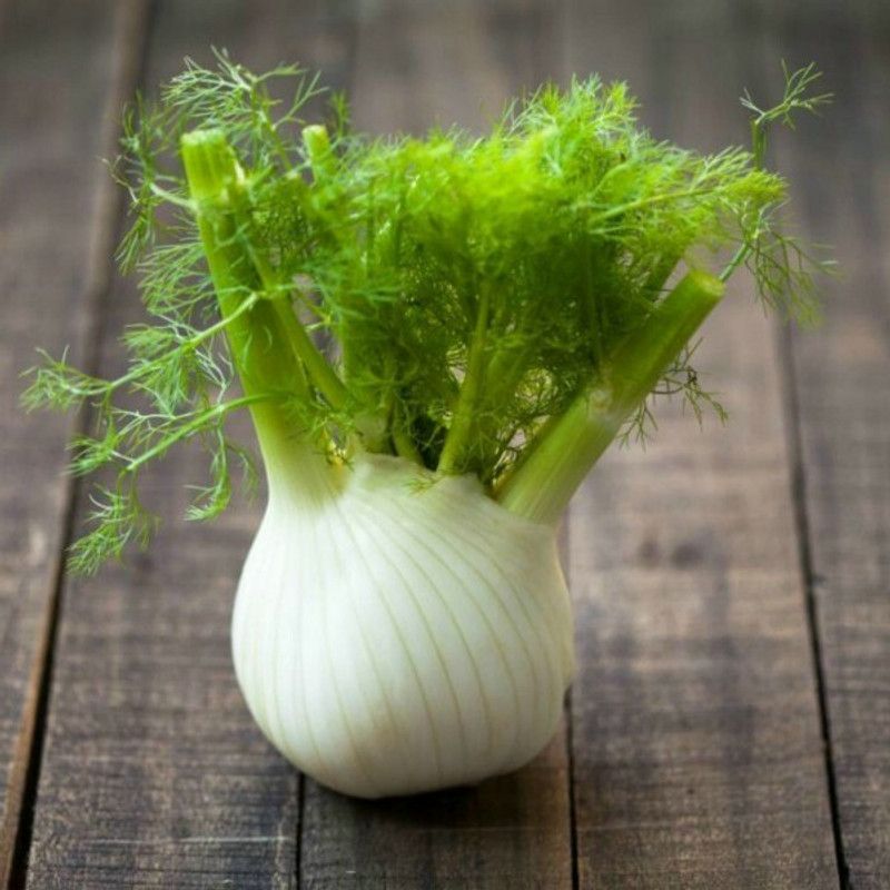 PMB Sweet fennle Seed  (30 per packet)