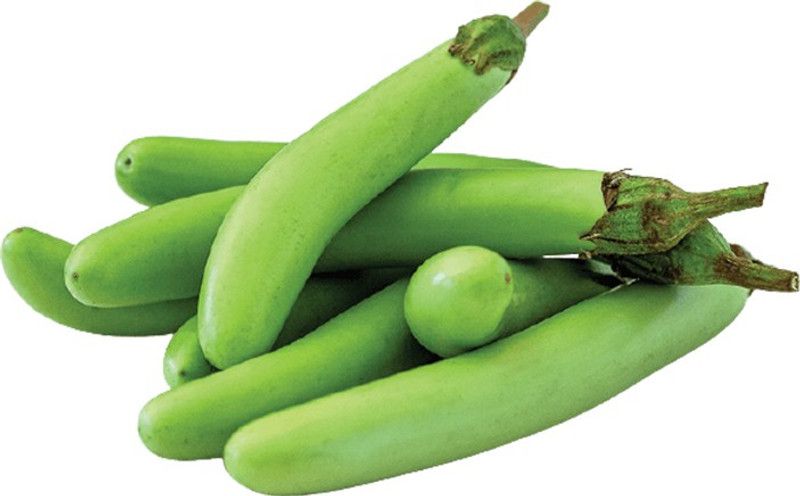 SimXotic Brinjal Green Long Vegetable Quality Seeds - 50 Seeds (Hybrid) Seed  (50 per packet)