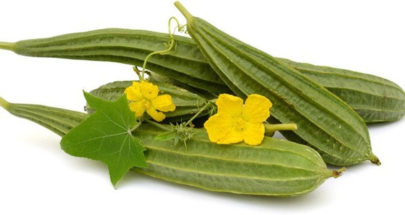Mozette Hybrid ridge gourd Seed  (65 per packet)