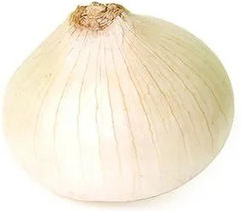 Mozette Organic Onion white Seed  (38 per packet)