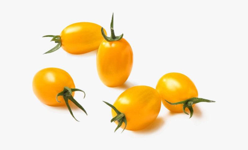 Paudha Tomato Yellow Grape Seed  (22 per packet)
