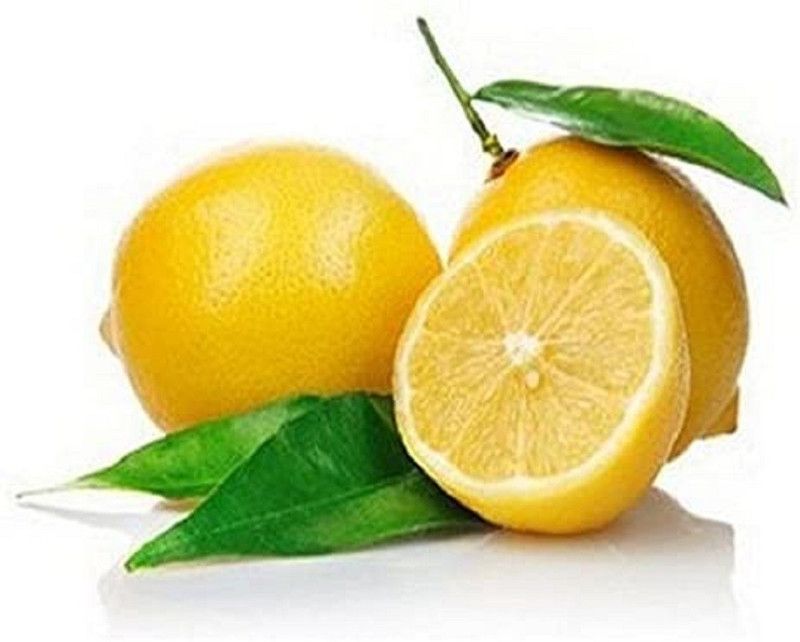 VibeX ® XII-1286 Pomegranate Seeds Finger Lemon Seed  (12 per packet)