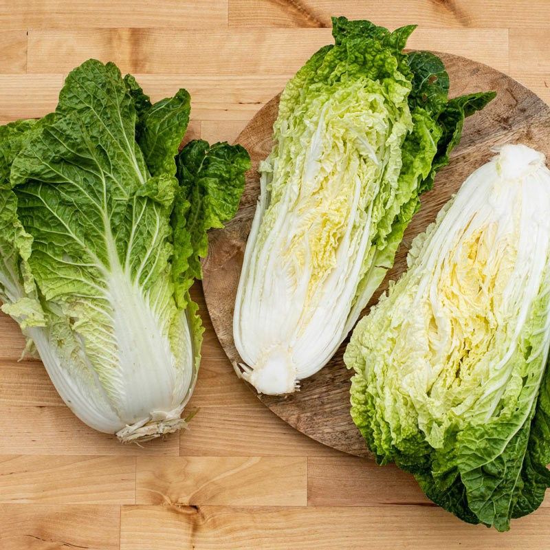 XOLDA Chinese Cabbage Seed  (40 per packet)