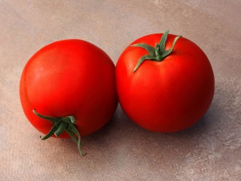 Paudha Organic Tomato F1 Seed  (15 per packet)