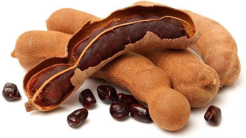 VibeX Imli or Tamarindus indica Tree Seed  (4 per packet)